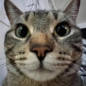 Meet your Posher, Texting